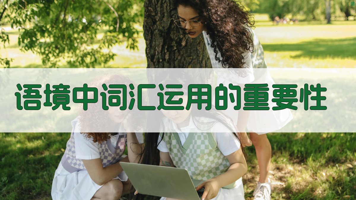 语境中词汇运用的重要性 图3