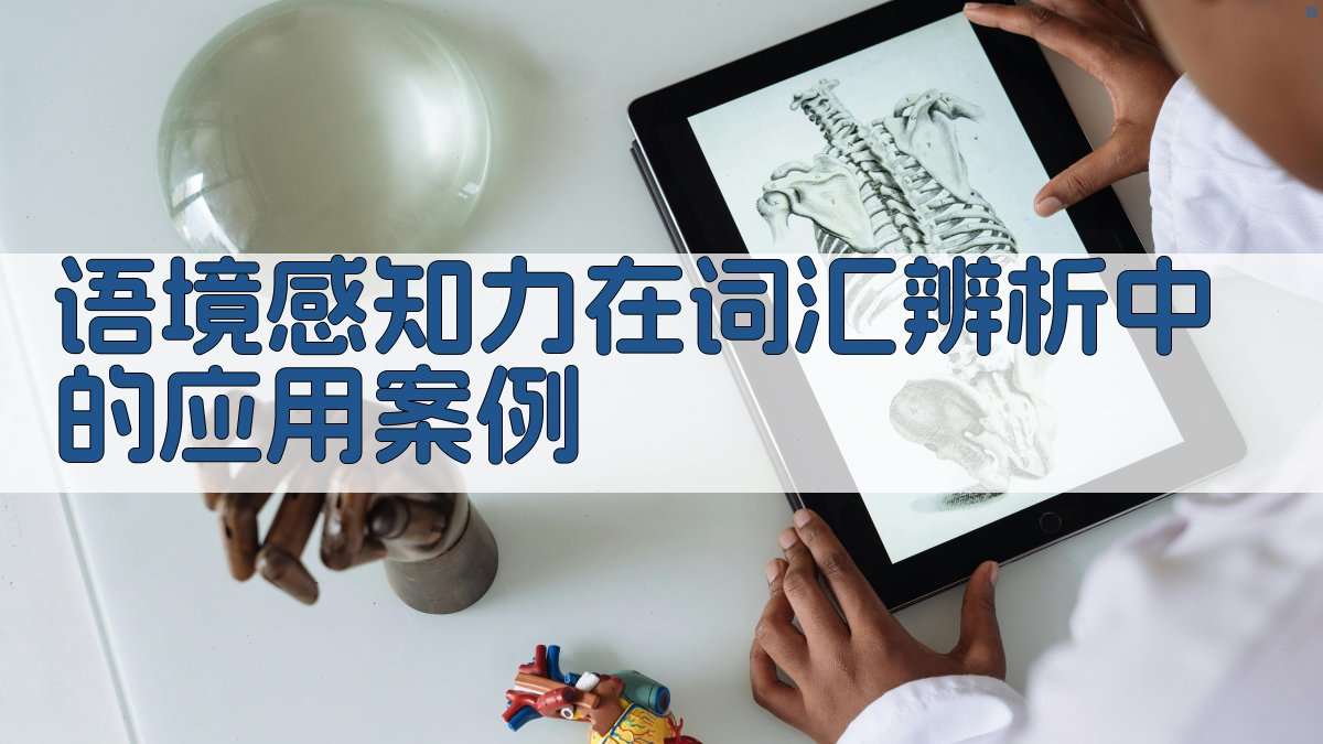 语境感知力在词汇辨析中的应用案例 图2