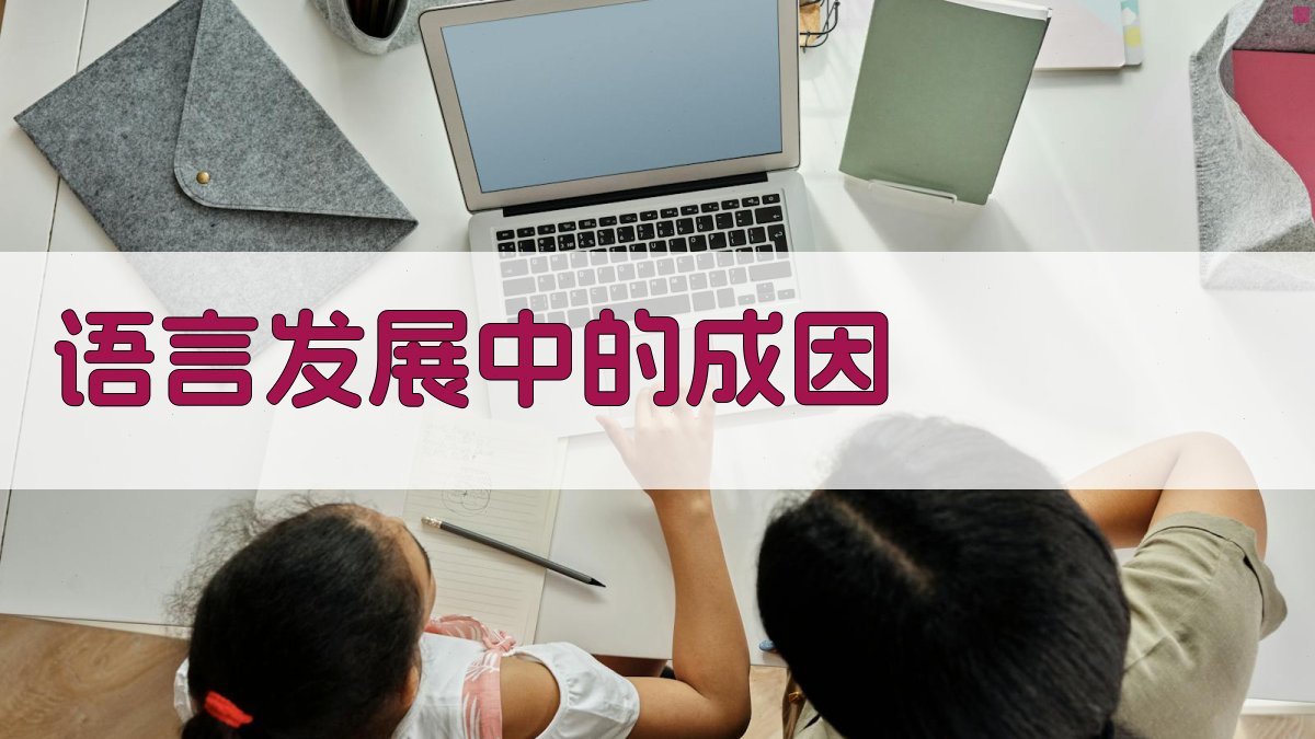 语言发展中的成因 图1