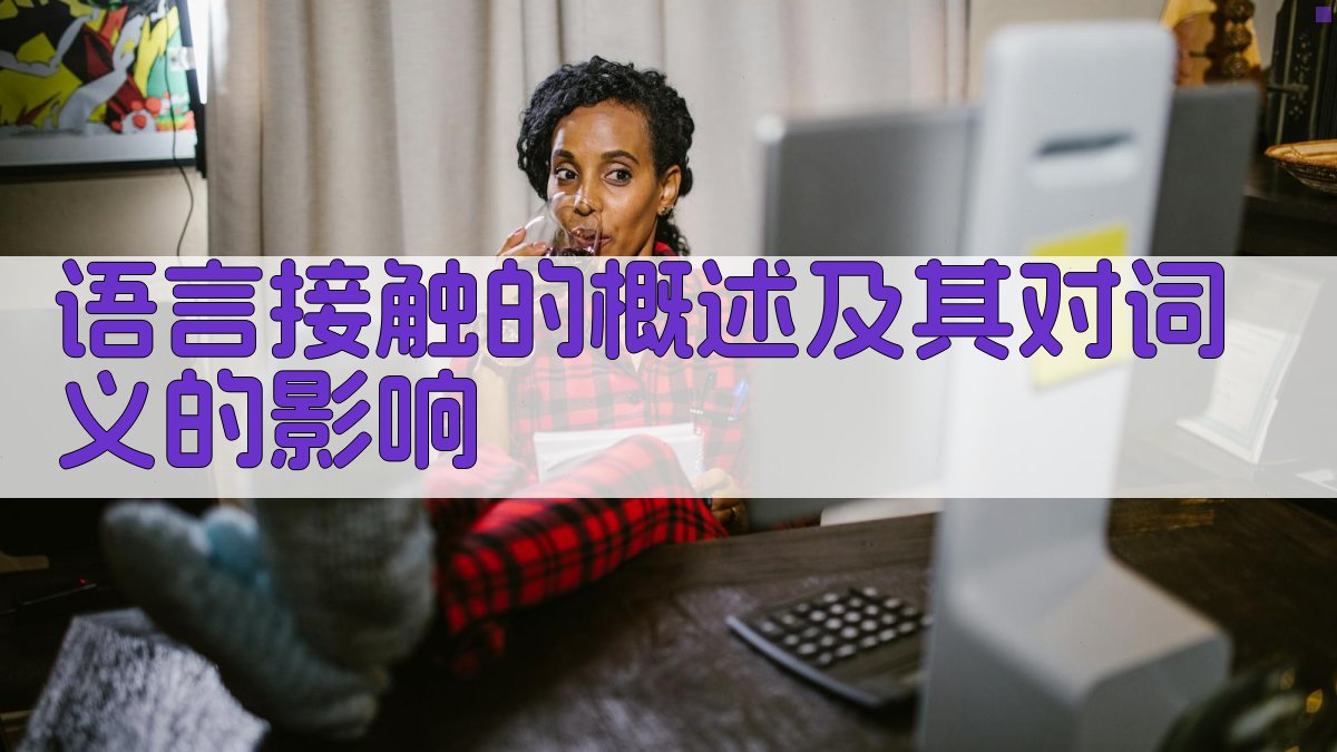 语言接触的概述及其对词义的影响 图2