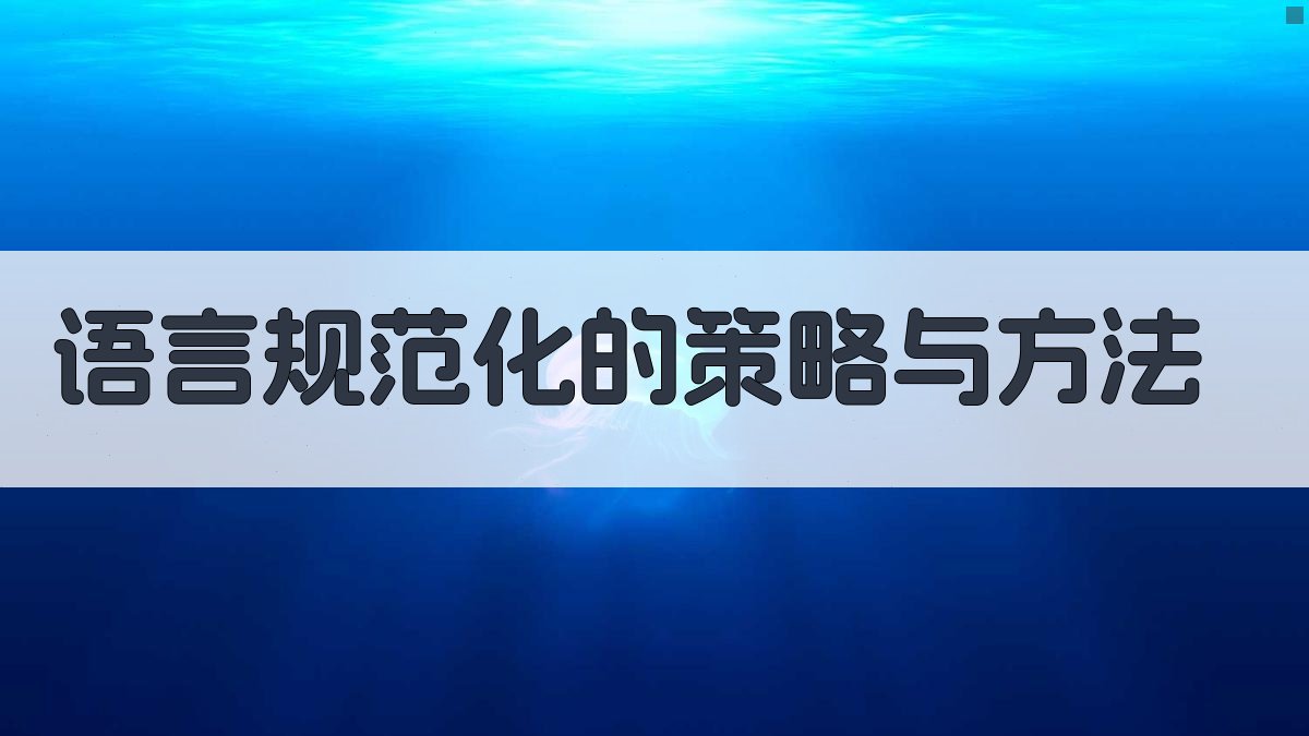 语言规范化的策略与方法 图1