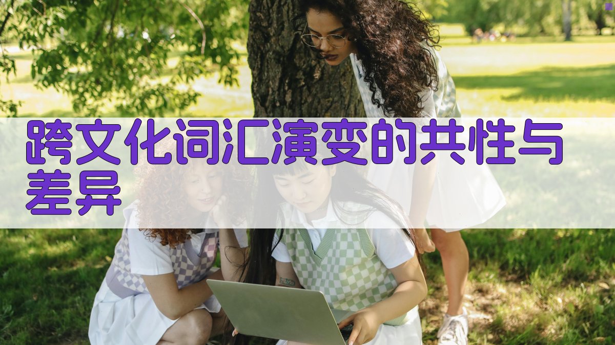 跨文化词汇演变的共性与差异 图3
