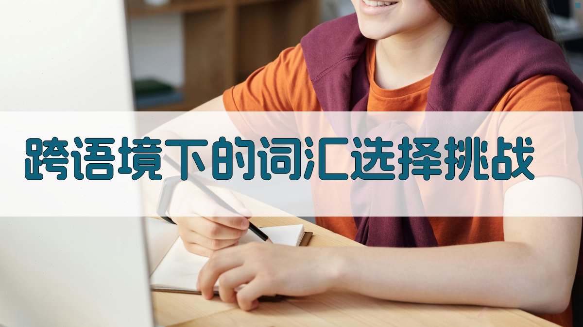 跨语境下的词汇选择挑战 图2