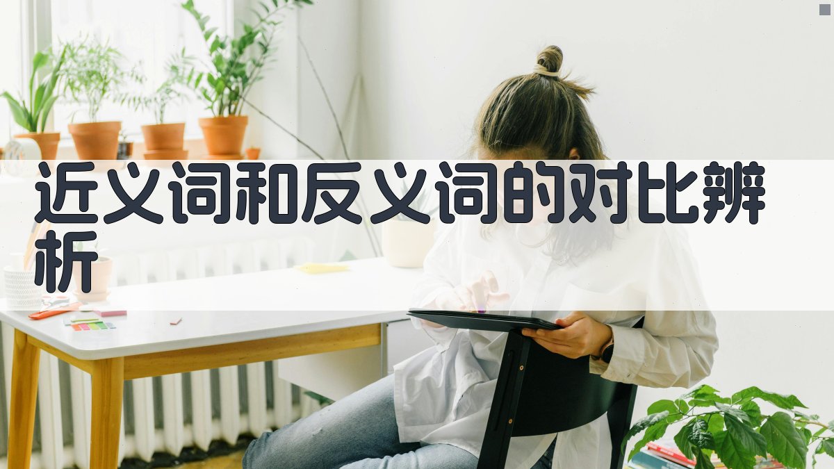 近义词和反义词的对比辨析 图4