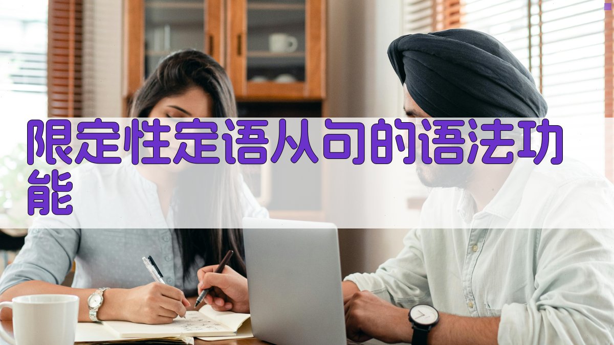 限定性定语从句的语法功能 图4